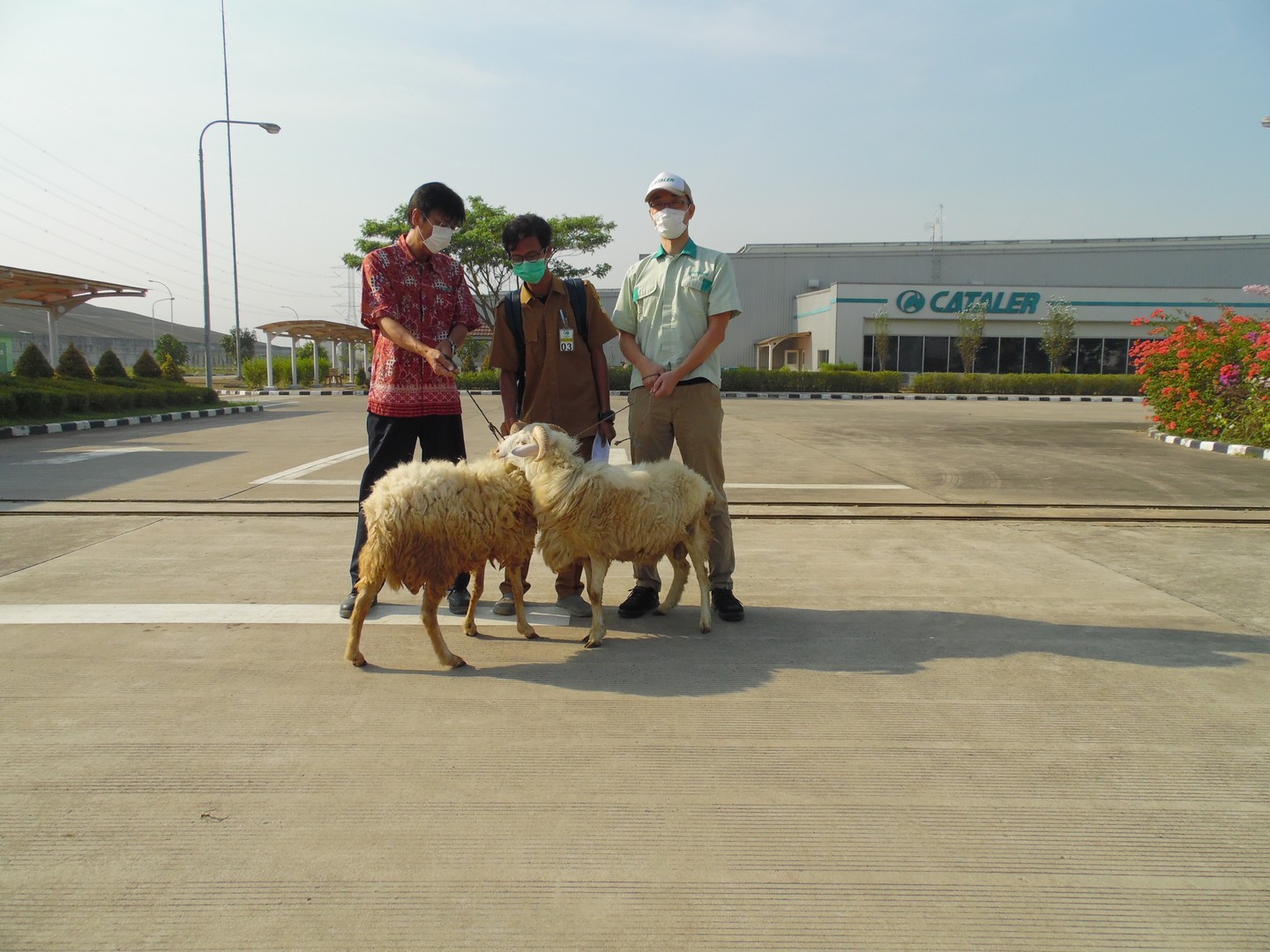 Bantuan Hewan Qurban