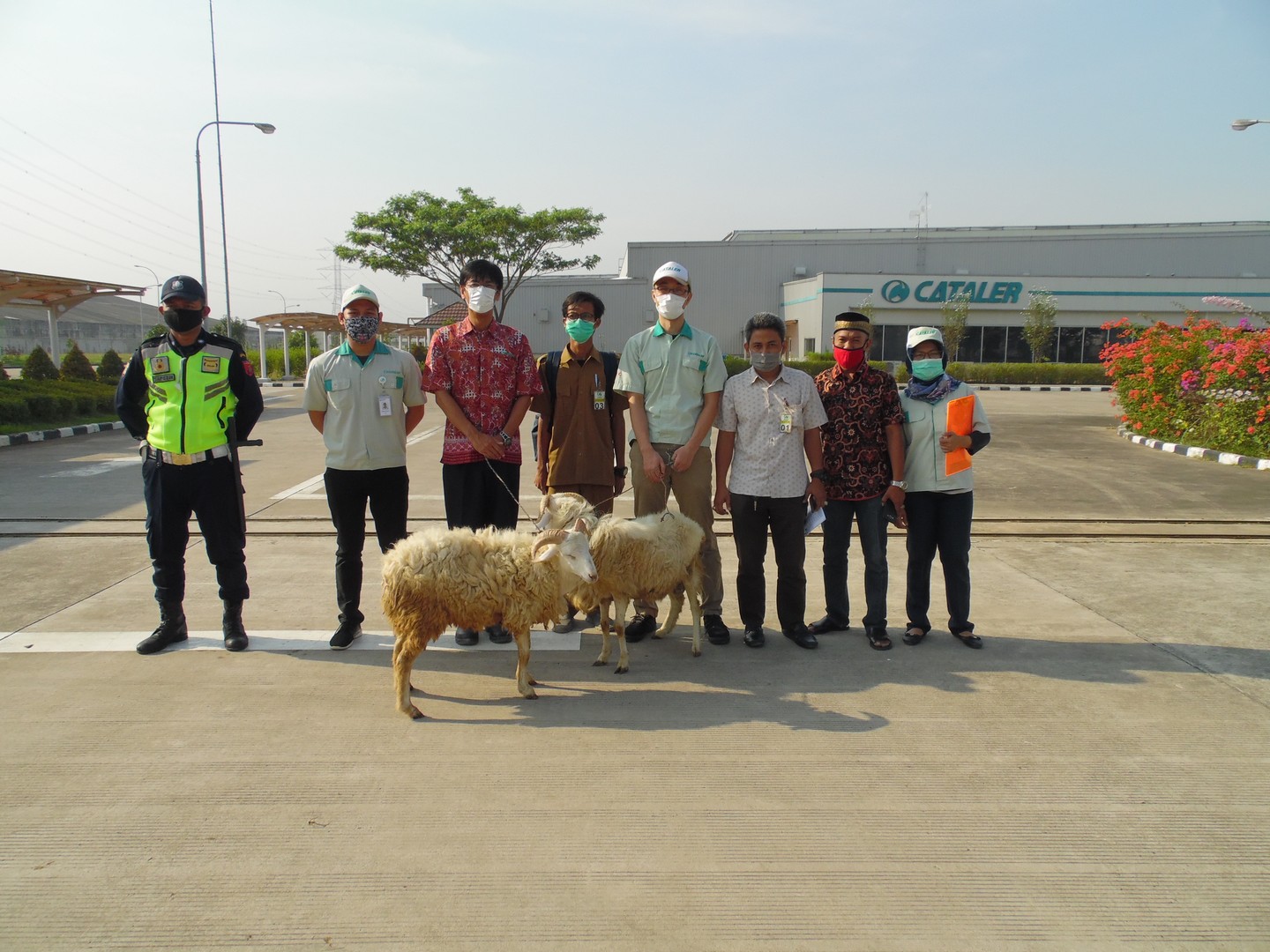 Bantuan Hewan Qurban